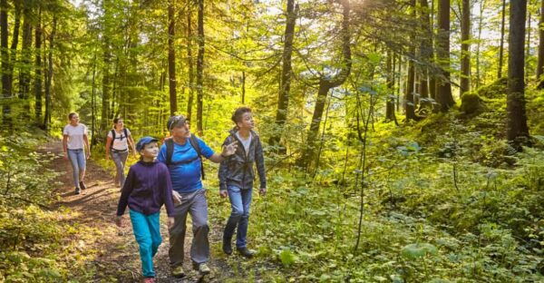 Lucerne: Guided Hike on the Pilatus With Barbecue Experience - Customer Reviews