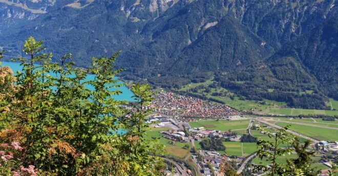 Lucerne: Interlaken & Grindelwald Exclusive Private Day Tour - Taking in Grindelwalds Breathtaking Landscapes