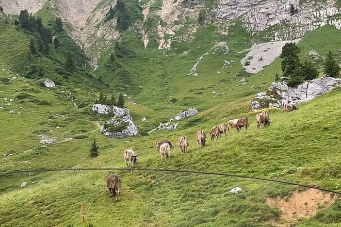 Lucerne Lake and Mount Pilatus Private Tour from Zurich - Key points before you book