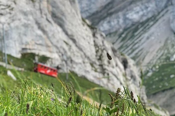 Lucerne Lake and Mount Pilatus Private Tour from Zurich - A cruise adds a quieter stretch