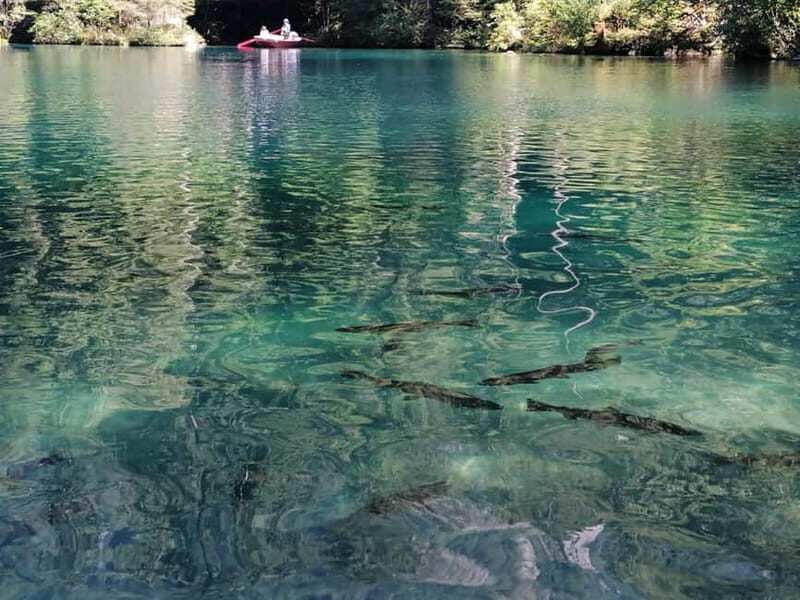 Lucerne or Zurich: Interlaken and Lauterbrunnen Day Tour - Who Will Enjoy This Tour?