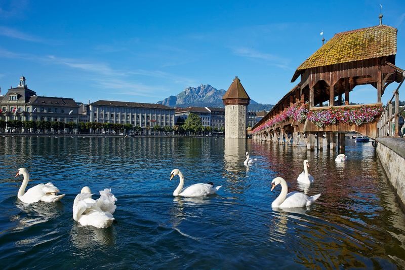 Lucerne Partially Guided City Tour and Yacht Cruise - The Zurich to Lucerne coach ride