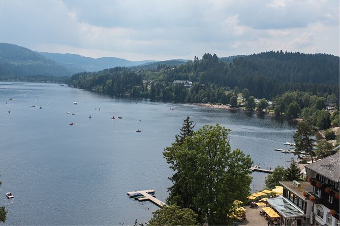 Lucerne: Private Car Tour to Rhine Falls, Titisee & Black Forest - Booking Instructions