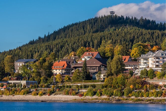 Lucerne: Private Car Tour to Rhine Falls, Titisee & Black Forest - Cancellation Policy