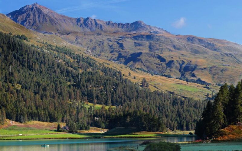 Lucerne: Private Day Trip to St. Moritz - Good To Know