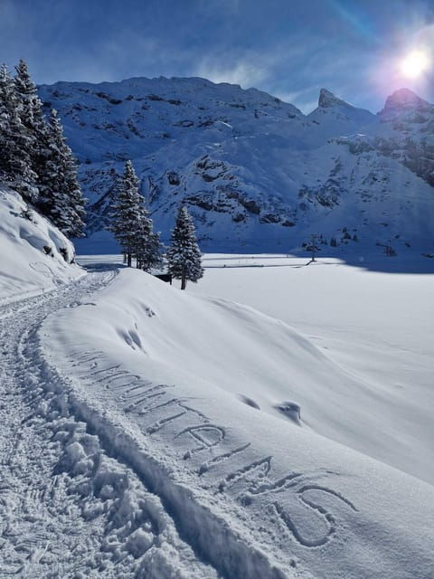 Lucerne: Private Snowshoe Tour - Good To Know
