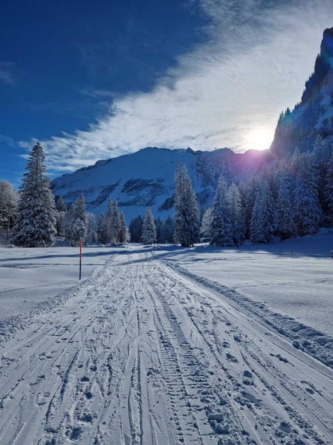 Lucerne: Private Snowshoe Tour - Itinerary