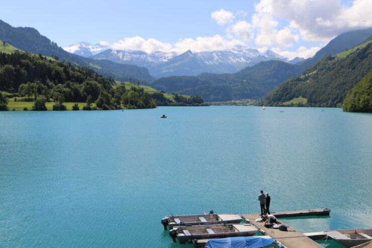 Lucerne: Private Transfer to Interlaken & Grindelwald - Duration and Operation
