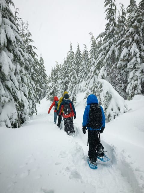 Lucerne: Snowshoe Hiking Adventure to Glaubenberg Langis - Good To Know