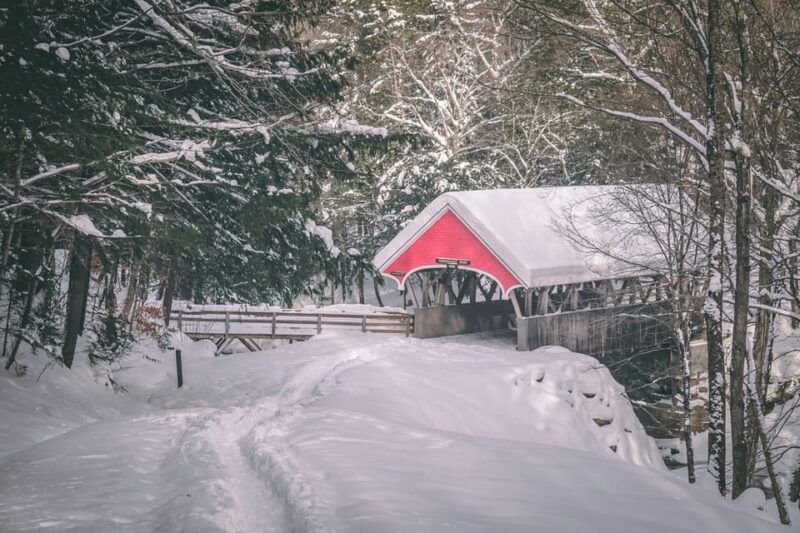 Lucerne: Snowshoe Hiking Adventure to Glaubenberg Langis - Itinerary Details