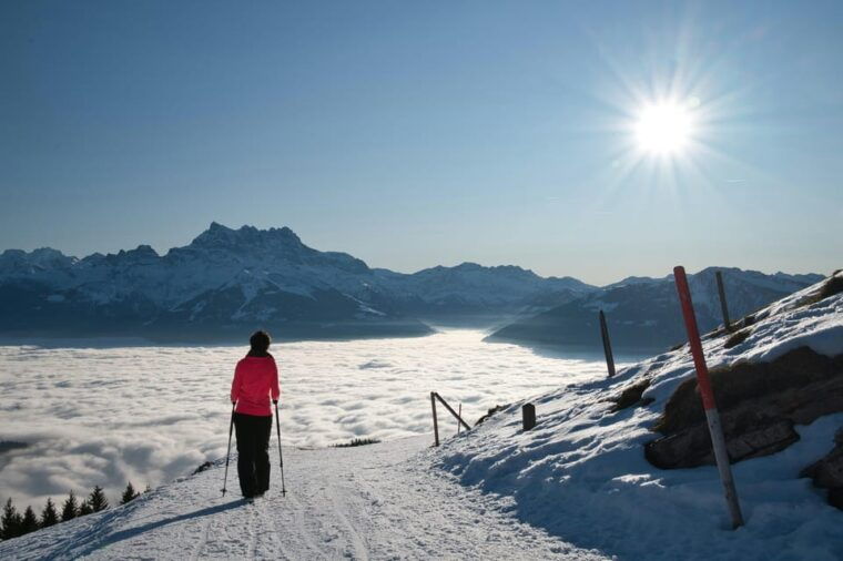 Lucerne: Snowshoe Hiking Adventure to Glaubenberg Langis - Highlights and Experience
