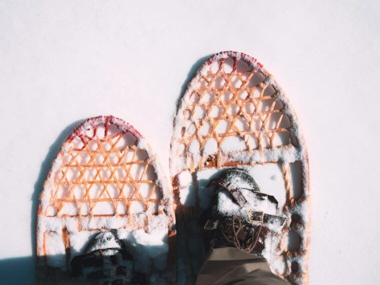 Lucerne: Snowshoe Hiking Adventure to Glaubenberg Langis - Inclusions