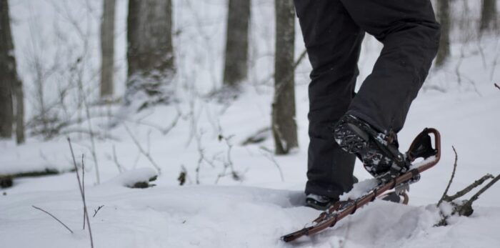 Lucerne: Snowshoe Hiking Adventure to Glaubenberg Langis - Planning Your Snowshoe Hike