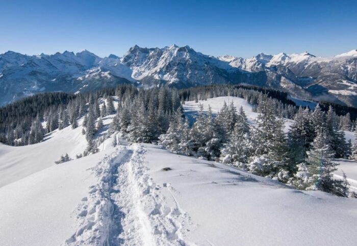 Lucerne: Snowshoe Hiking Adventure to Glaubenberg Langis - Frequently Asked Questions