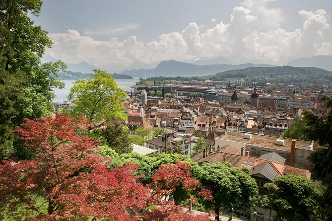 Lucerne Walking & Boat Tour: The Best Swiss Experience - Tour Experience Reviews