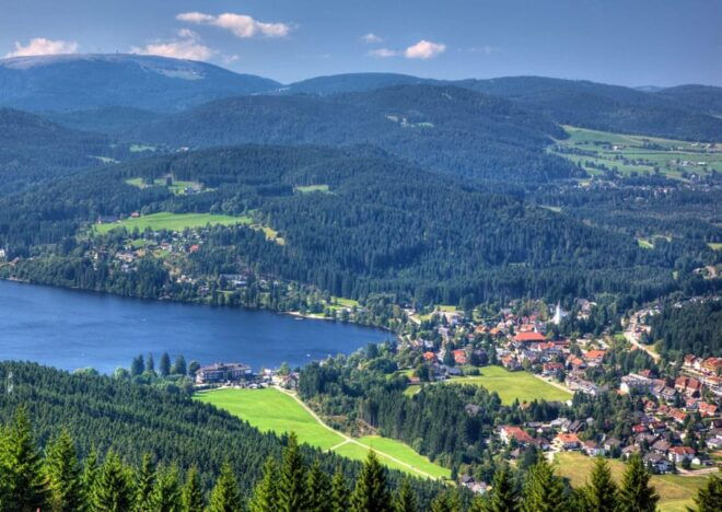 Lucerne:Private Car Tour-Rhine Falls, Titisee & Black Forest - Inclusions of the Tour