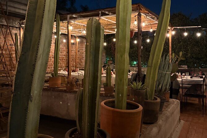 Lucha Libre VIP Meet and Greet - Good To Know