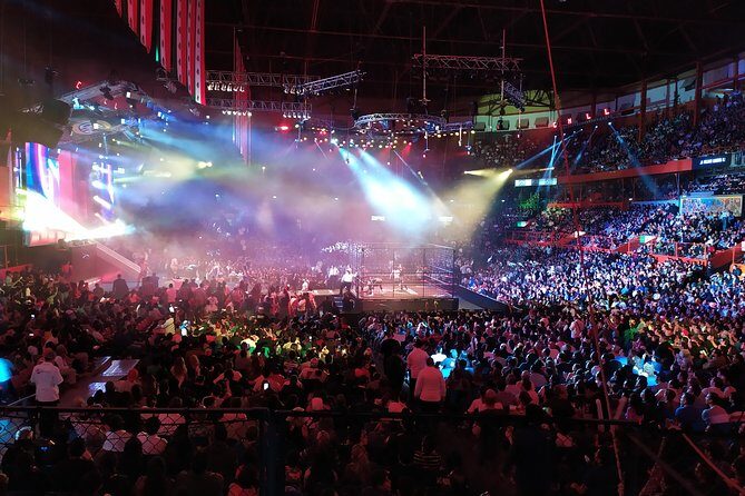 Lucha Libre wrestling show, tacos and beer with artist - FAQ