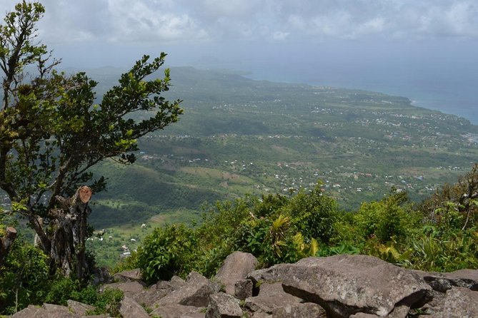 Lucian Piton Nature Trail Hike - Experience Highlights