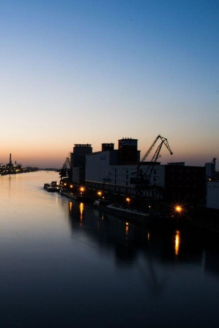 Ludwigshafen Am Rhein Private Guided Walking Tour - Key Art Institutions and Museums