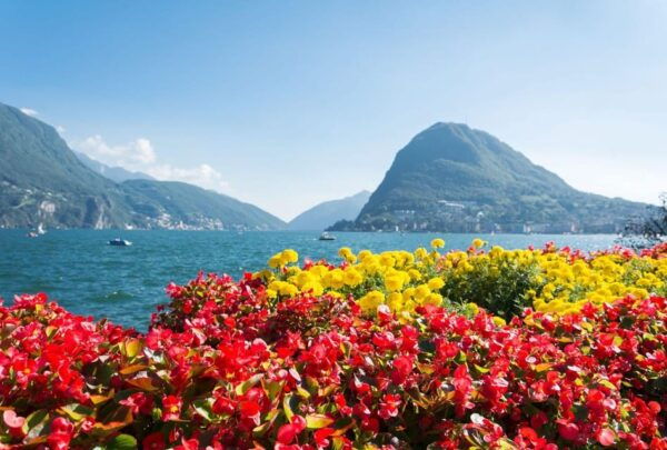 Lugano Highlights: A Guided Walking Adventure - Booking and Cancellation