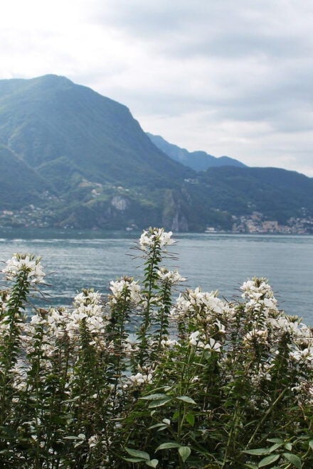 Lugano - Private Walking Tour - Tour Pricing and Duration