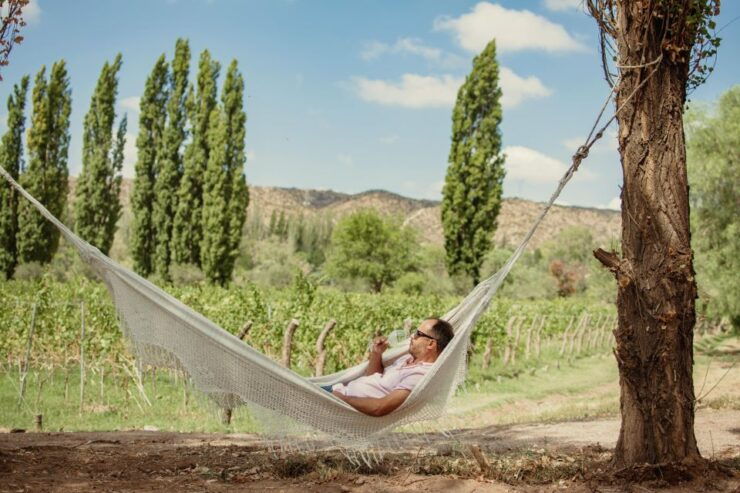 Luján De Cuyo: Journey Through Best Wines and Foods - Wineries Explored