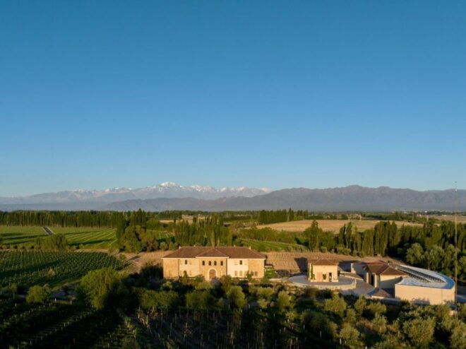 Luján De Cuyo: Journey Through Best Wines and Foods - Biodynamic Architecture and Vines