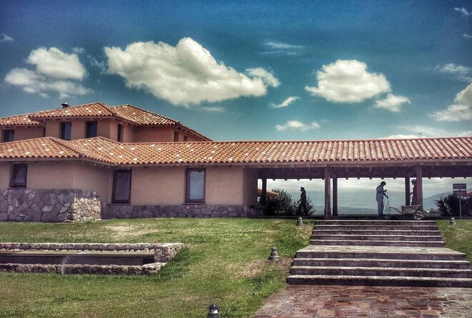 Luján De Cuyo Wine-Tasting Tour From Mendoza - Tour Highlights