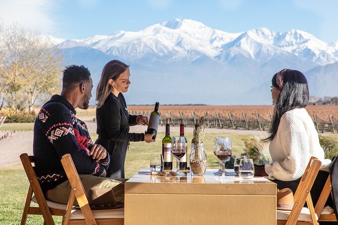 Lujan Deluxe - Full Day - Premium Wine Tour With Gourmet Lunch - Tour Overview