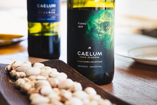 Lujan Deluxe - Full Day - Premium Wine Tour With Gourmet Lunch - Wine Tasting Experience