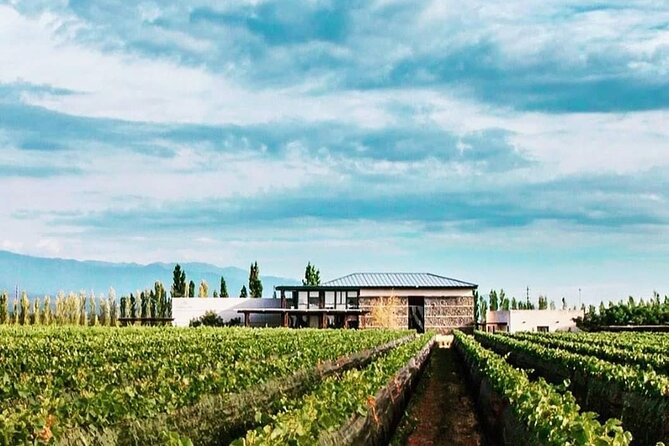 Luján Wine Tasting Guided Experience With Lunch - Experience Details