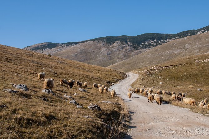 Lukomir Village Hiking Tour - From Sarajevo - Tour Highlights