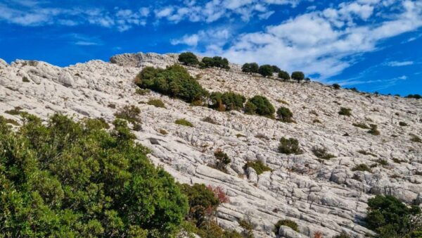 Lula: Montalbo Hiking - Cancellation Policy
