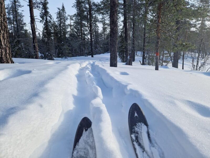Luleå: Nordic Touring Skiing Adventure - Good To Know  
