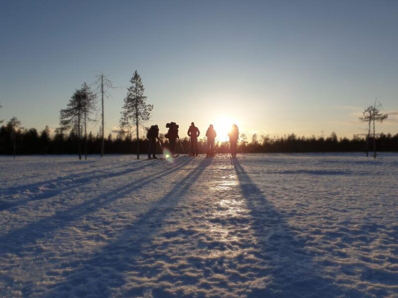 Luleå: Nordic Touring Skiing Adventure - Final Thoughts