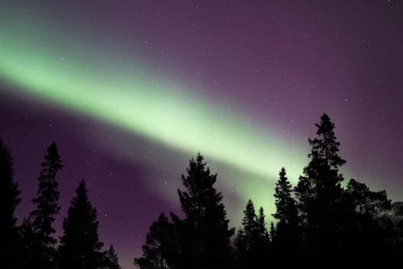 Luleå: Northern Lights Snowshoeing Tour - Good To Know