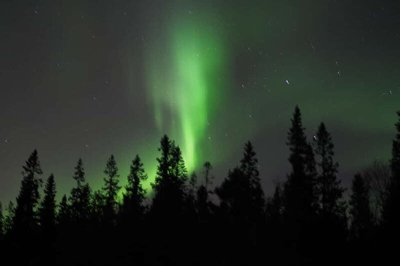 Luleå: Northern Lights Snowshoeing Tour - The Experience in Detail