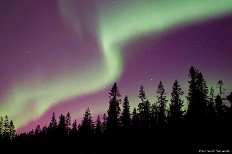 Luleå: Northern Lights Tour by Car with Guide - Good To Know