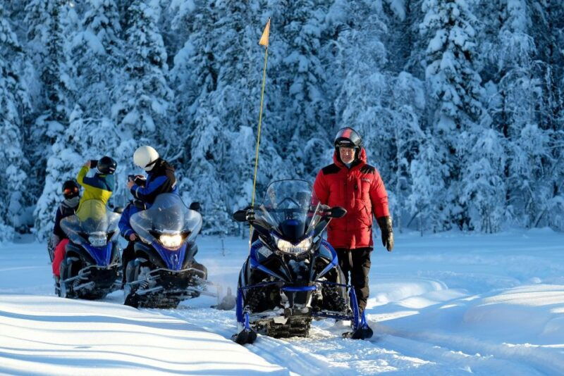Luleå : Snowmobile - Forest and Ice Nature Tour 2h - The Sum Up