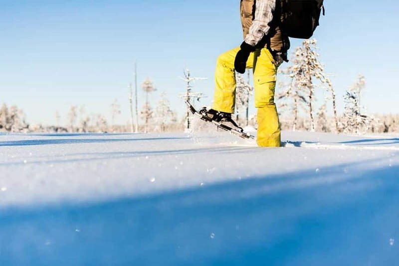 Luleå: snowshoeing in pristine nature with an expert guide! - Good To Know