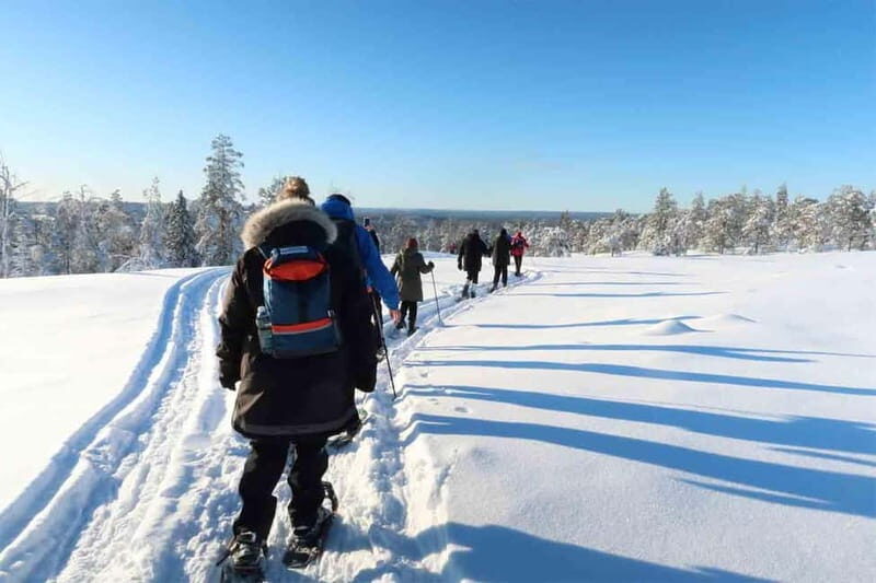 Luleå: snowshoeing in pristine nature with an expert guide! - Final Thoughts on the Value of the Experience