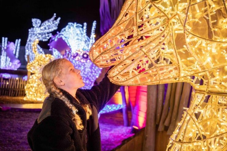 LUMAGICA Munich - Light Park @ CAVALLUNA Park Entry Ticket - Ticket Details and Booking Information