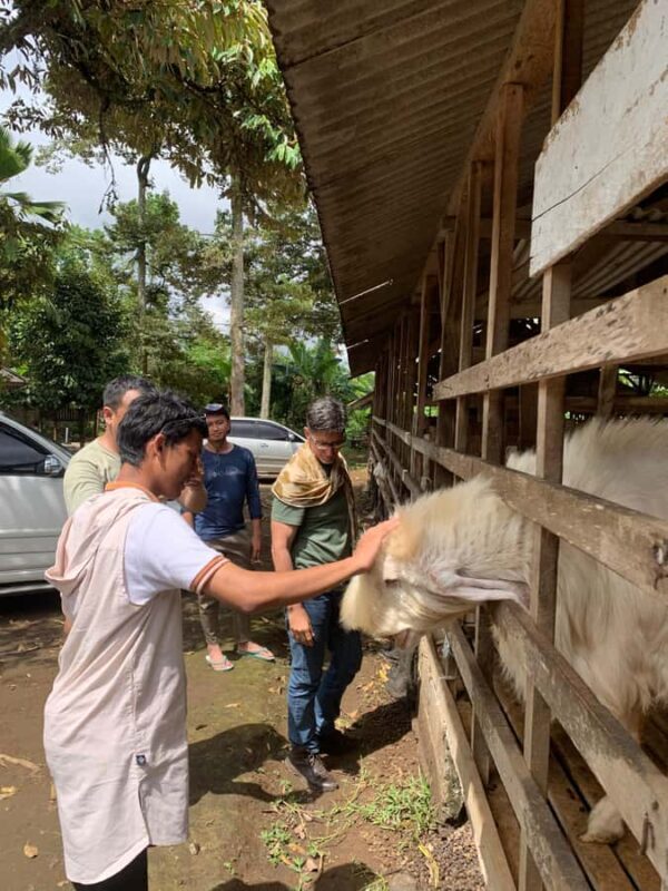 Lumajang: Untouched Nature Exploration - What to Expect from the Lumajang Eco-Tour