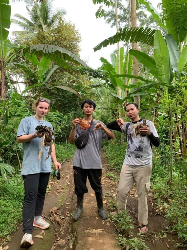 Lumajang: Untouched Nature Exploration - Authenticity and Unique Insights from Reviews