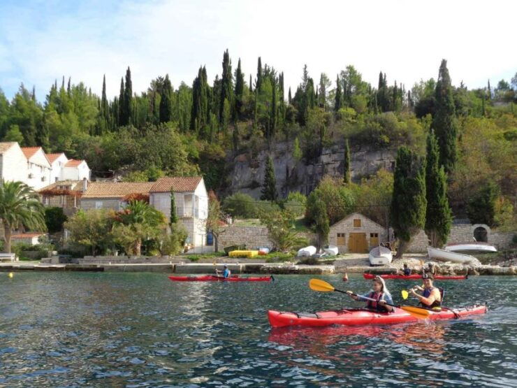 Lumbarda: Half-Day Kayaking and History Tour - Good To Know