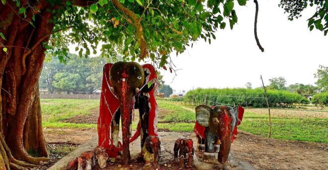Lumbini Day Tour - Significance of Lumbini