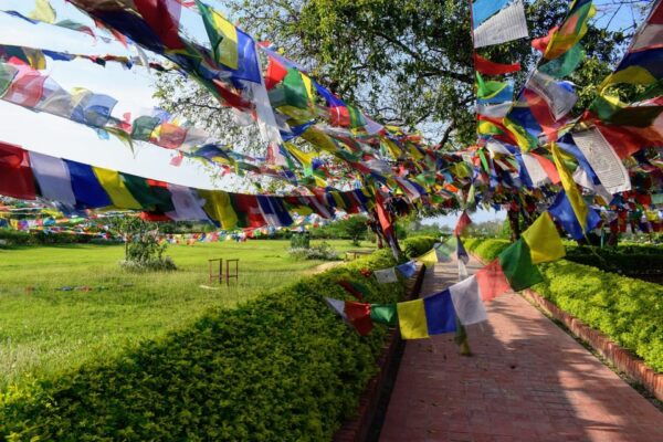 Lumbini: Full-Day Tour With Airport Transfer - Cultural Insights and Community Engagement