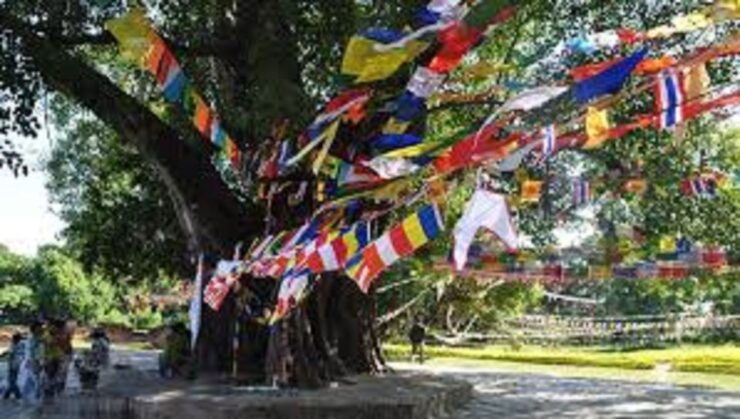 Lumbini Full Day Tour With Guide - Highlights