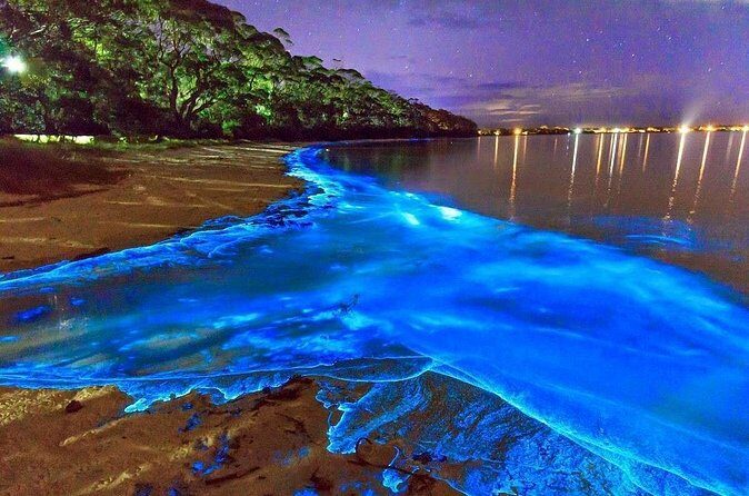 Luminous Lagoon and Rose Hall Great House Night Tour - Final Thoughts: Is This Tour for You?